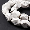 Natural Howlite Beads Strands G-L235A-14-5