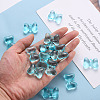 Transparent Acrylic Pendants TACR-T024-02BB-946-5