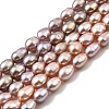 Natural Cultured Freshwater Pearl Beads Strands PEAR-I007-01P-04B-2