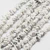 Natural Howlite Beads Strand G-F328-05-1
