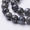 Natural Larvikite Beads Strands GSR8mmC128-2