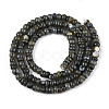 Natural Freshwater Shell Dyed Beads Strands SHEL-T020-29A-3