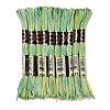 10 Skeins 6-Ply Polyester Embroidery Floss OCOR-K006-A22-1
