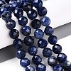 Natural Sodalite Beads Strands G-S345-10mm-26-2