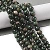 Natural Green Quartz Round Beads Strands G-Q171-D02-02-2