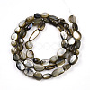 Natural White Shell Beads Strands SHEL-N036-21A-2