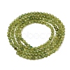Natural Canadian Jade Beads Strands G-G259-D02-2mm-3