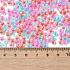 Transparent Glass Round Seed Beads SEED-B001-05A-14-4
