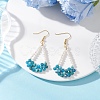 Natural Apatite Arch Dangle Earrings EJEW-TA00742-02-1