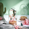 Glass Dome Cover AJEW-PH0004-19B-2
