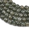 Natural Green Rutilated Quartz Beads Strands GG-CBAC4F6-B01-8mm-C-3