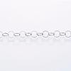 Tarnish Resistant Handmade 304 Stainless Steel Rolo Chains CHS-H007-59P-1