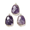 Natural Amethyst Faceted Connector Charms G-F763-02G-04-1