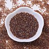 MIYUKI Delica Beads X-SEED-J020-DB0170-2