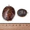 Electroplated Golden Brass Edged Natural Sea Shell Pendants SSHEL-Q101-01-3