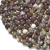 Natural Plum Blossom Tourmaline Beads Strands G-K389-E87-01-3