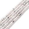 Natural Howlite Beads Strands G-H273-02A-1