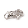 Brass Micro Pave Cubic Zirconia Charms ZIRC-F132-46P-3