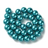 Eco-Friendly Glass Pearl Beads Strands HY-A008-14mm-RB073-2