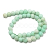 Grade A Natural Chrysoprase Beads Strands G-R494-A02-04-2