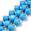 Dyed Natural Howlite Beads Strands G-G023-B01-01A-1