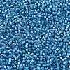 MIYUKI Delica Beads X-SEED-J020-DB1709-3