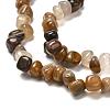 Natural Petrified Wood Beads Strands G-G031-01-3