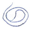 Natural Iolite Beads Strands G-I279-E08-2