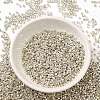 Electroplate Glass Seed Beads X-SEED-S042-01B-08-2