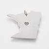 Tarnish Resistant 201 Stainless Steel Pendants STAS-T038-65-2