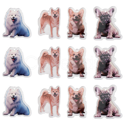 12Pcs 4 Styles Printed Acrylic Pendants OACR-TA0004-14B-1