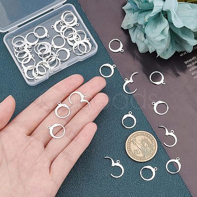 Unicraftale 304 Stainless Steel Leverback Earring Findings STAS-UN0009-77-1