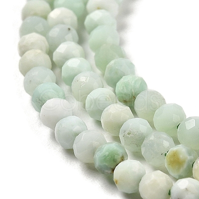 Natural Green Opal Beads Strands G-Z035-A02-02B-1