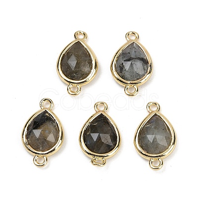 Natural Labradorite Faceted Connector Charms G-L514-048P-05-1