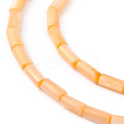 Natural Freshwater Shell Dyed Beads Strands SHEL-M018-11-1