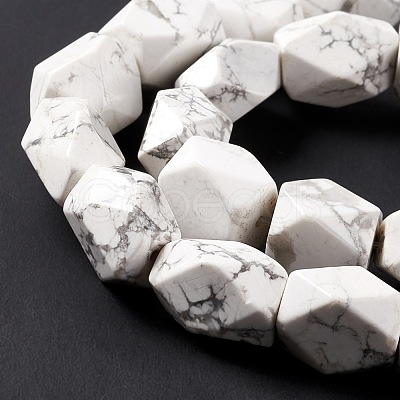 Natural Howlite Beads Strands G-L235A-14-1