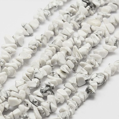 Natural Howlite Beads Strand G-F328-05-1