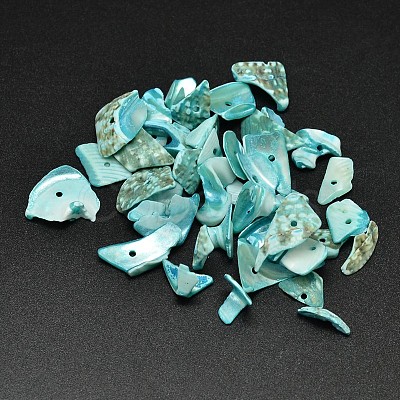 Dyed Natural Shell Nuggets Chips Beads BSHE-O007-06M-1