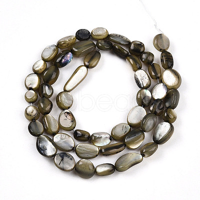 Natural White Shell Beads Strands SHEL-N036-21A-1