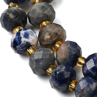 Natural Sodalite Beads Strands G-D105-B09-02-1