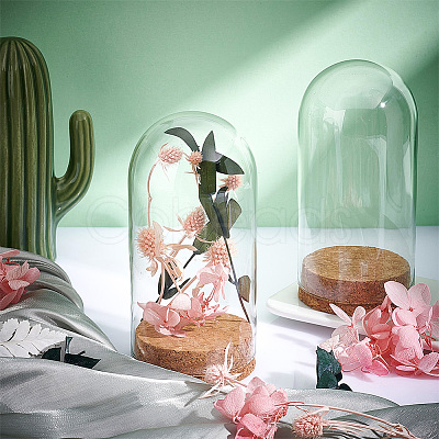 Glass Dome Cover AJEW-PH0004-19B-1