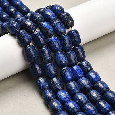 Natural Lapis Lazuli Beads Strands G-H319-A01-03-1