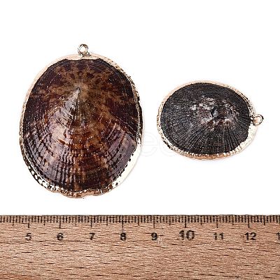 Electroplated Golden Brass Edged Natural Sea Shell Pendants SSHEL-Q101-01-1