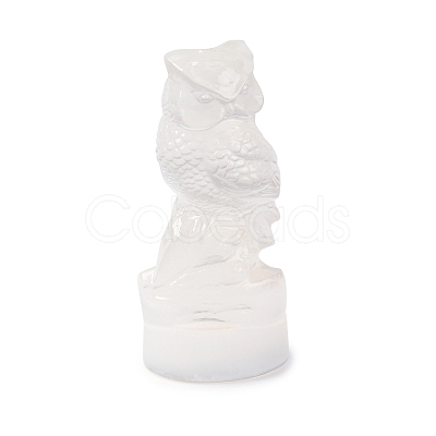 Natural Selenite Figurines DJEW-Q006-01G-1