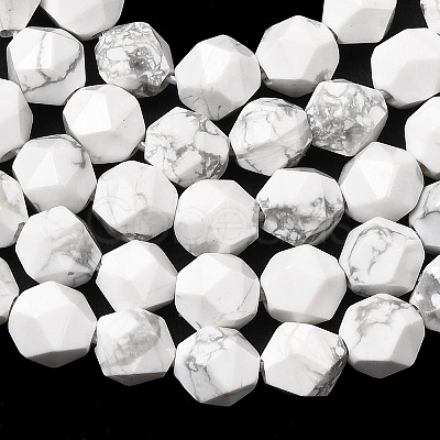 Natural Howlite Beads Strands G-Z119-A43-01-1