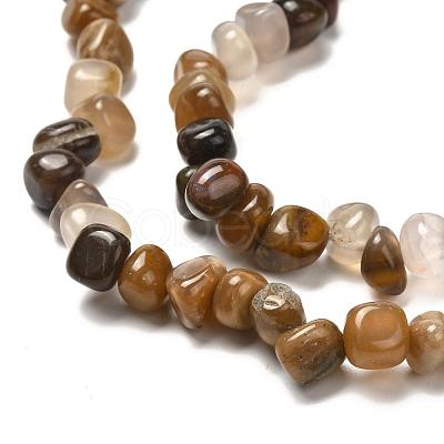 Natural Petrified Wood Beads Strands G-G031-01-1