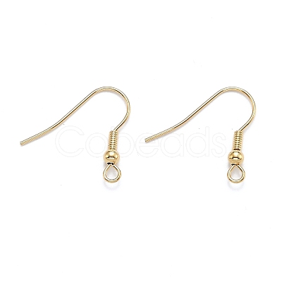 304 Stainless Steel Earring Hooks STAS-D448-036G-1