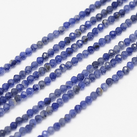 Natural Sodalite Bead Strands G-G936-2mm-19-1