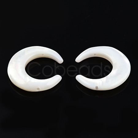 Natural White Shell Connector Charms SSHEL-N034-159-1