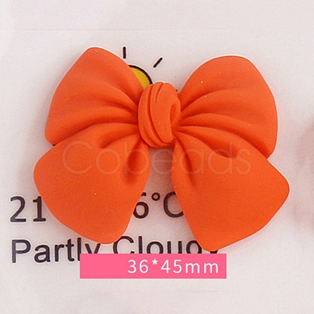 Resin Cabochons RESI-WH0024-43B-02-1
